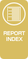 REPORT INDEX